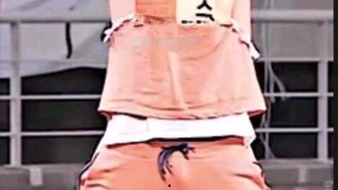 娱乐吃瓜遛鸟大师是谁呀,网络红人的传奇故事