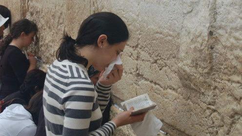 娱乐吃瓜君白鹿许凯,娱乐圈的甜蜜瓜田