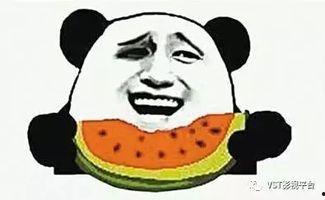 娱乐圈吃瓜系统雕动画