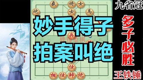 娱乐吃瓜王铁锤,娱乐吃瓜界的风云人物